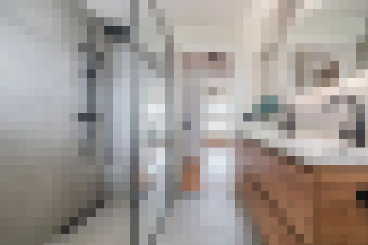 Vlasstraat 29 Geldrop thumbnail 27