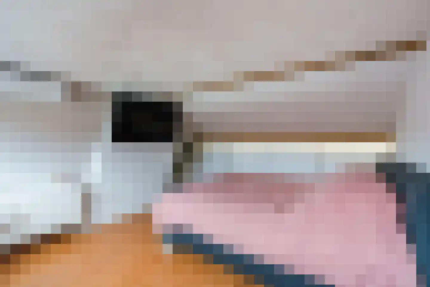 Vlasstraat 29 Geldrop thumbnail 31