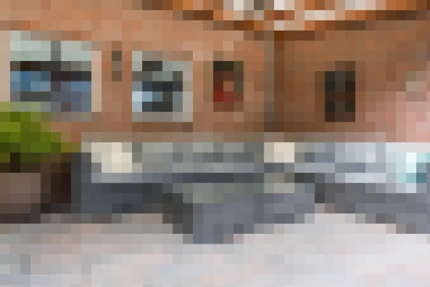 Vlasstraat 29 Geldrop thumbnail 35