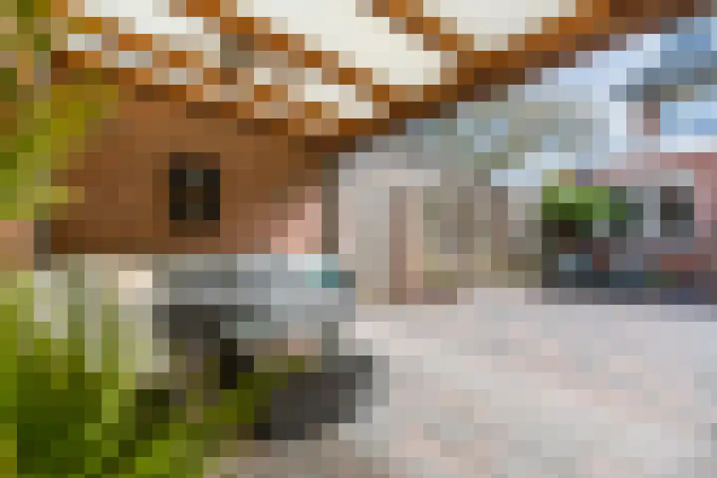 Vlasstraat 29 Geldrop thumbnail 37
