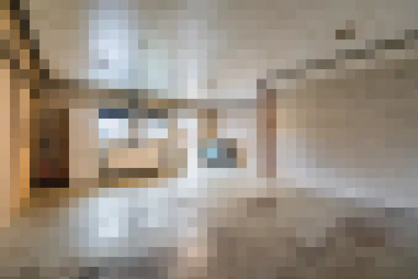 Vlasstraat 29 Geldrop thumbnail 4