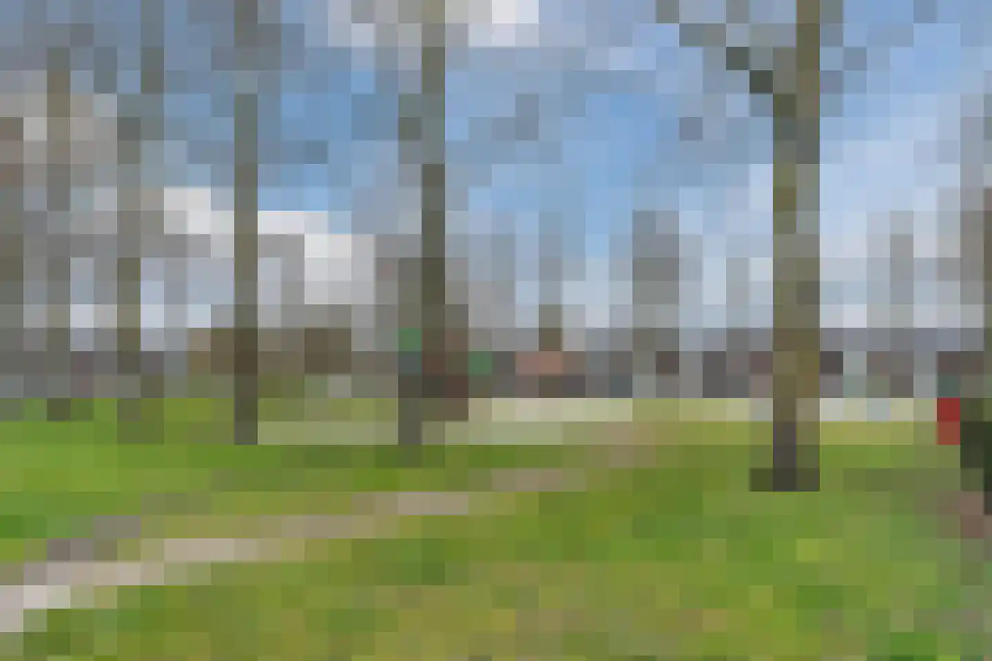 Vlasstraat 29 Geldrop thumbnail 46