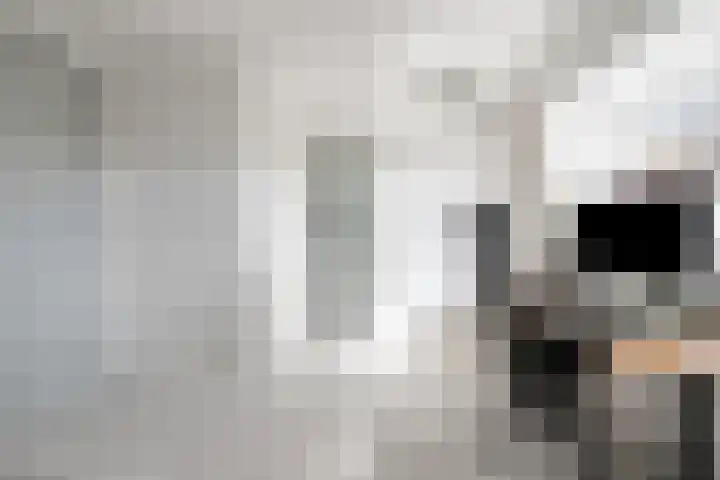 Vlasstraat 3 A Oss thumbnail 34