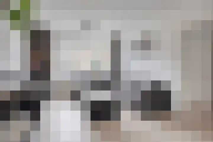 Vlasstraat 3 Zuidland thumbnail 10
