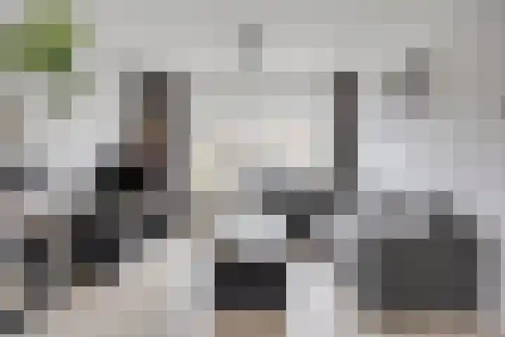 Vlasstraat 3 Zuidland thumbnail 12