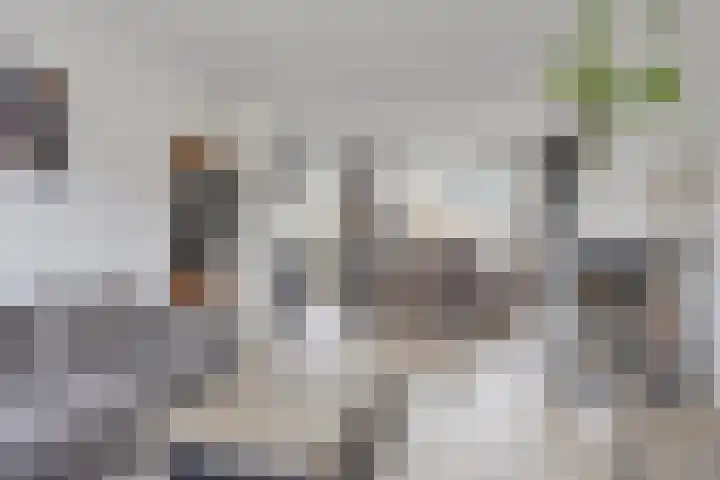 Vlasstraat 3 Zuidland thumbnail 13