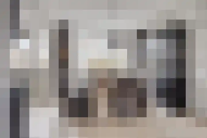 Vlasstraat 3 Zuidland thumbnail 17