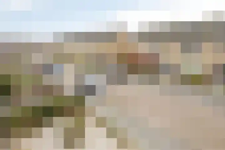 Vlasstraat 3 Zuidland thumbnail 52