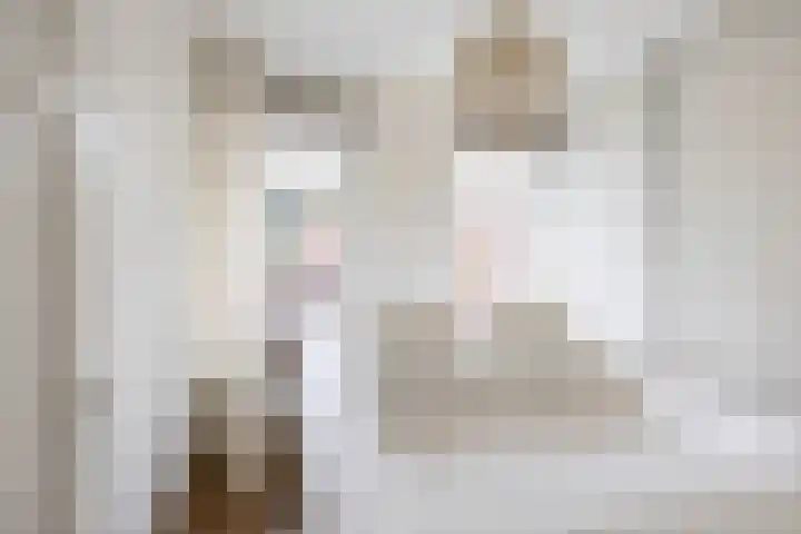 Vlasstraat 32 Groningen thumbnail 27