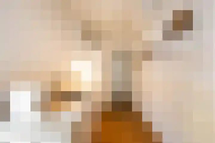 Vlasstraat 32 Groningen thumbnail 31