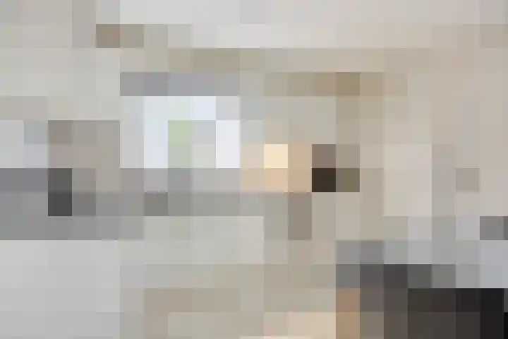 Vlasstraat 33 Heikant thumbnail 11