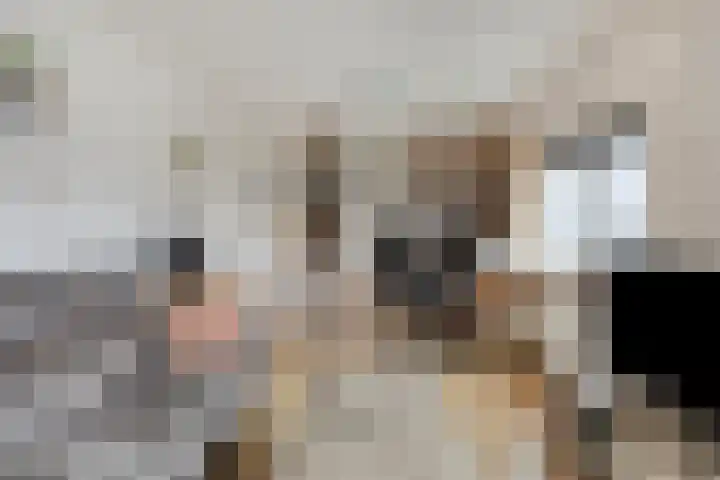 Vlasstraat 33 Heikant thumbnail 20
