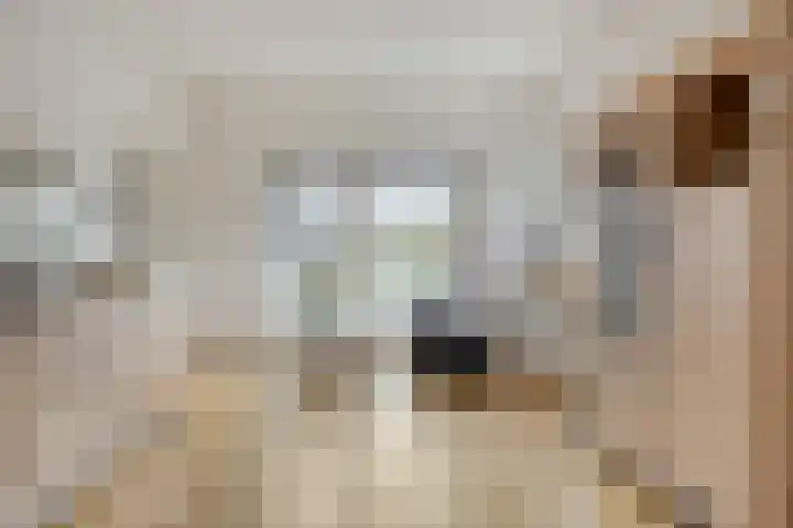 Vlasstraat 33 Heikant thumbnail 7