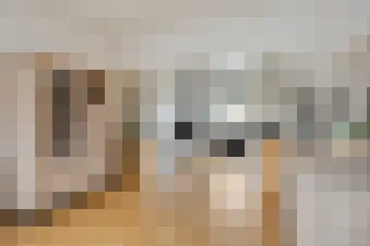 Vlasstraat 33 Heikant thumbnail 8