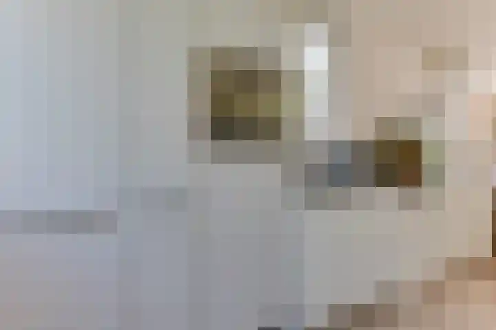 Vlasstraat 38 Purmerend thumbnail 18