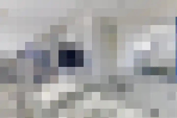 Vlasstraat 38 Purmerend thumbnail 31