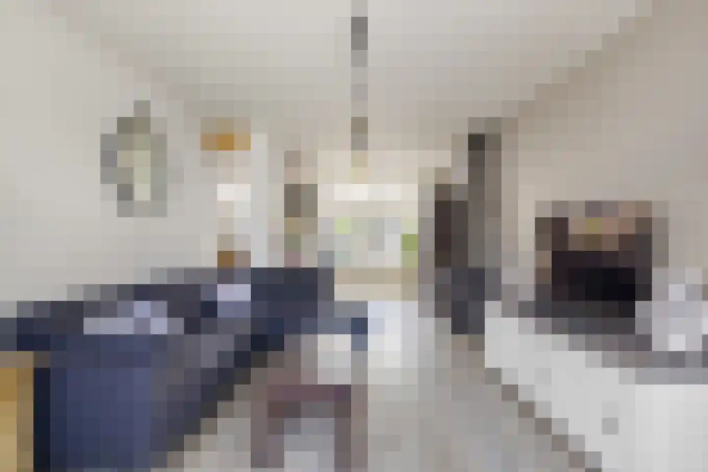 Vlasstraat 49 Grashoek thumbnail 10