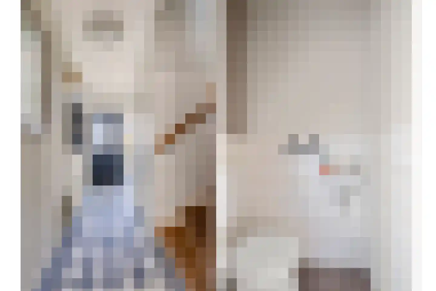 Vlasstraat 49 Grashoek thumbnail 12
