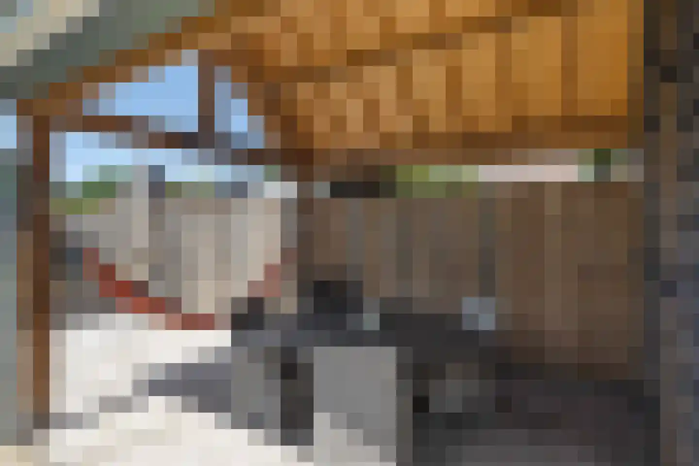 Vlasstraat 49 Grashoek thumbnail 29