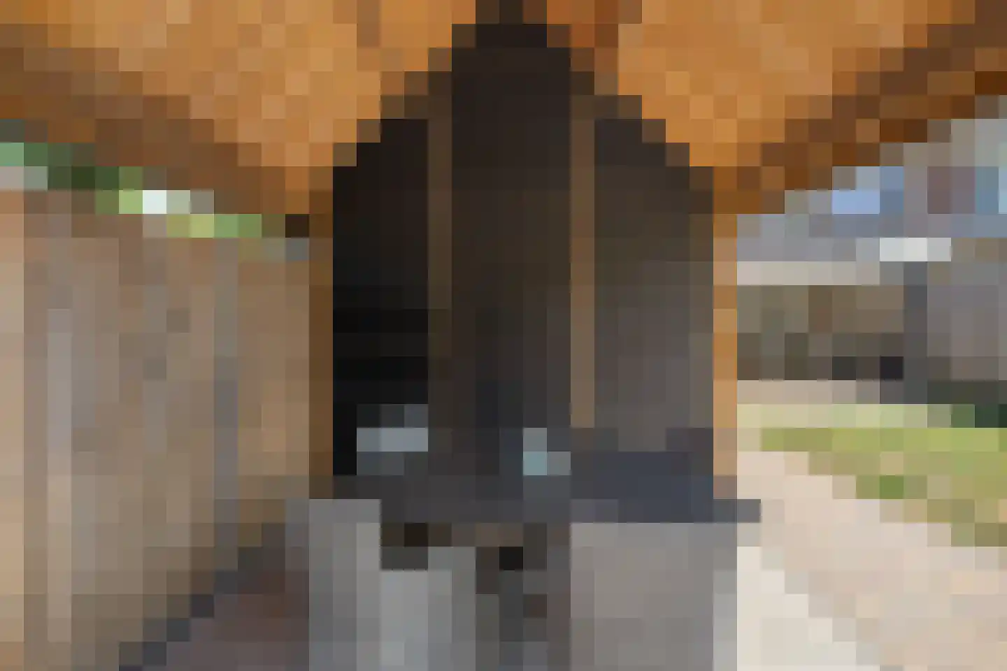 Vlasstraat 49 Grashoek thumbnail 30
