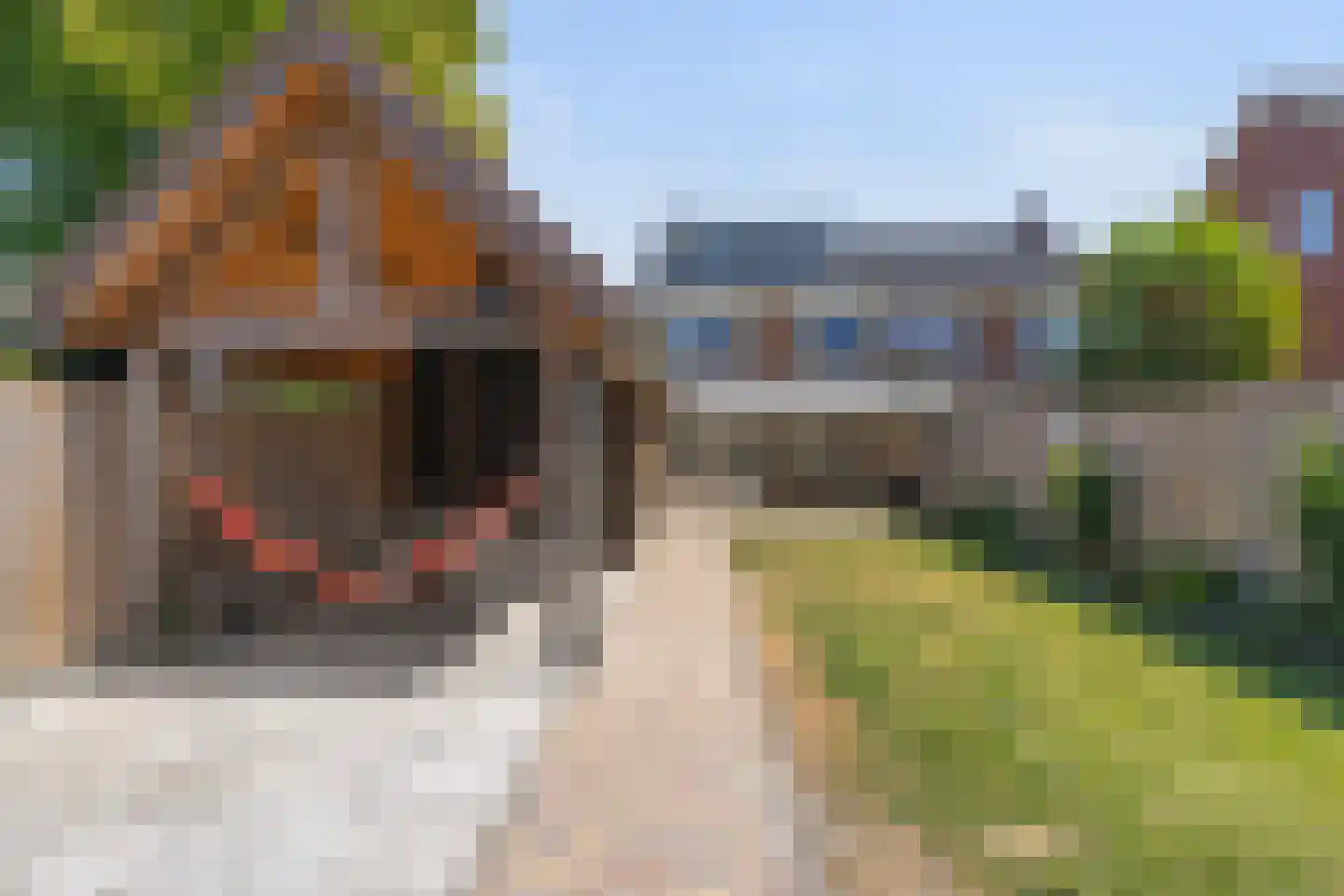 Vlasstraat 49 Grashoek thumbnail 31