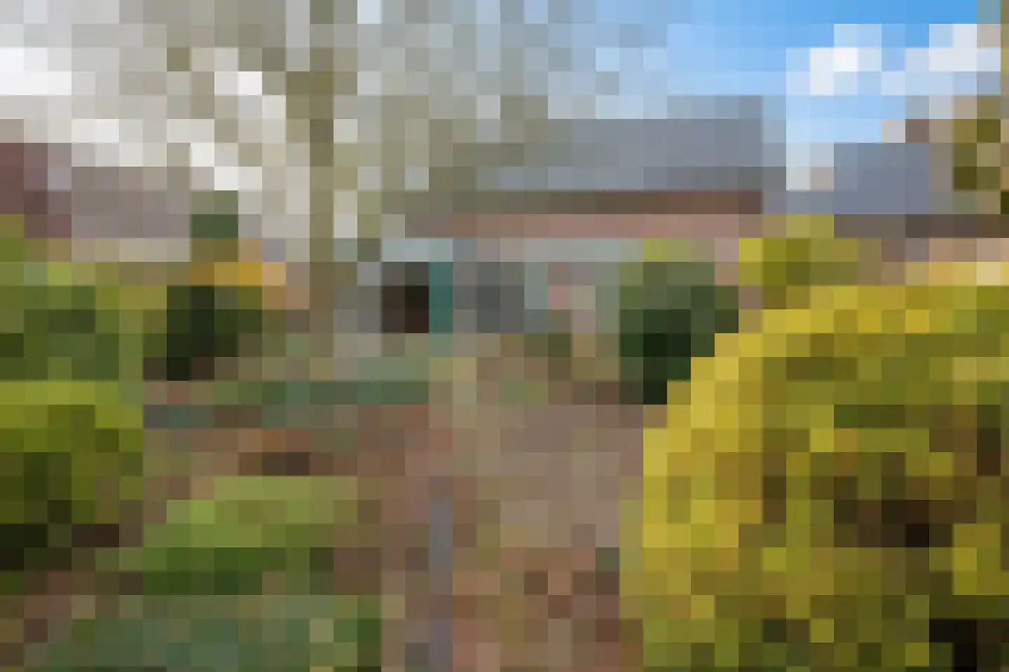 Vlasstraat 5 a Heythuysen thumbnail 25