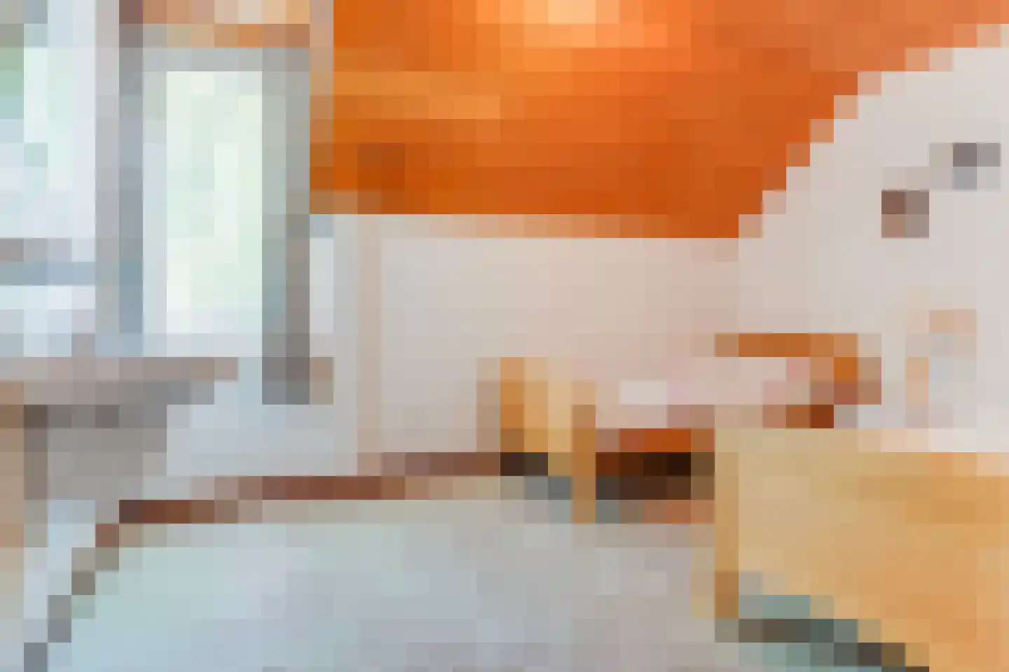 Vlasstraat 5 Heythuysen thumbnail 25