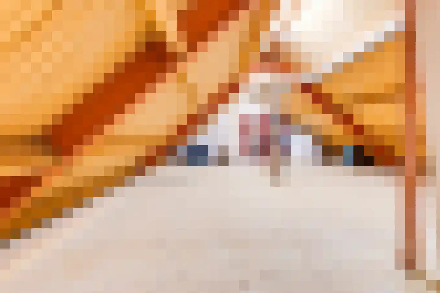 Vlasstraat 5 Heythuysen thumbnail 28