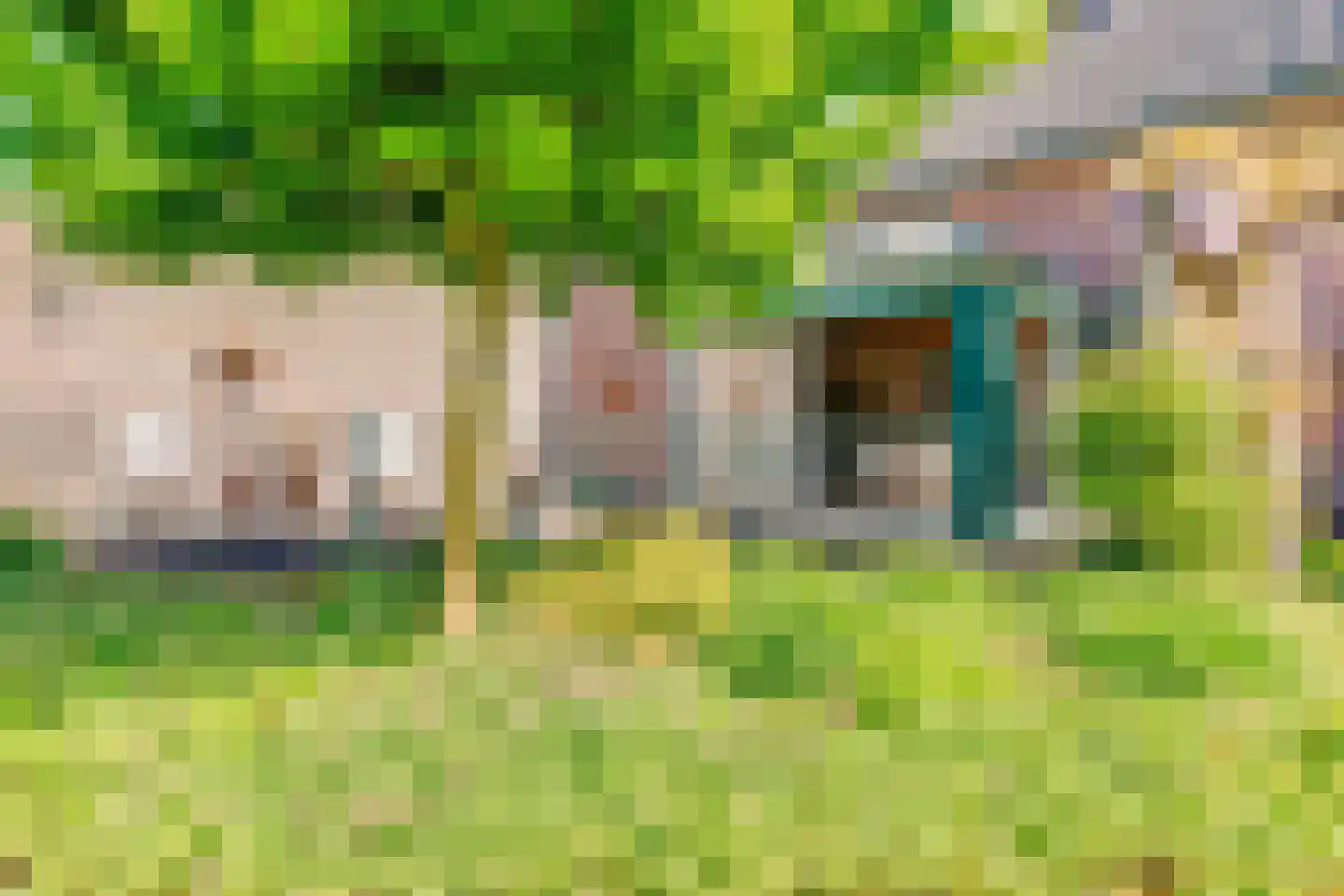 Vlasstraat 5 Heythuysen thumbnail 34