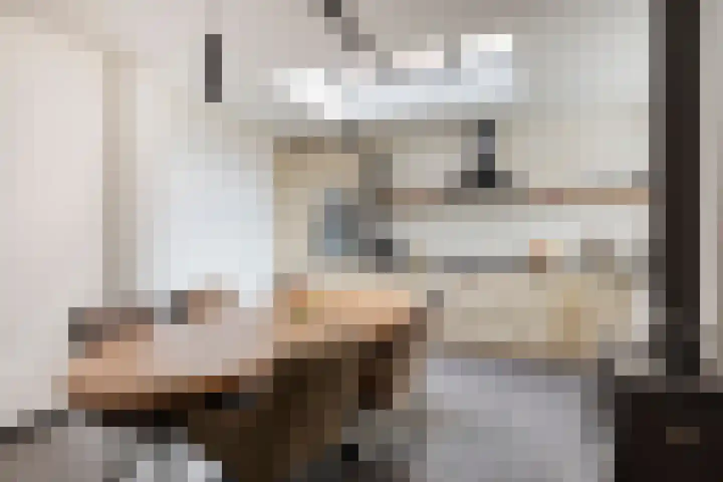 Vlasstraat 5 Oss thumbnail 11