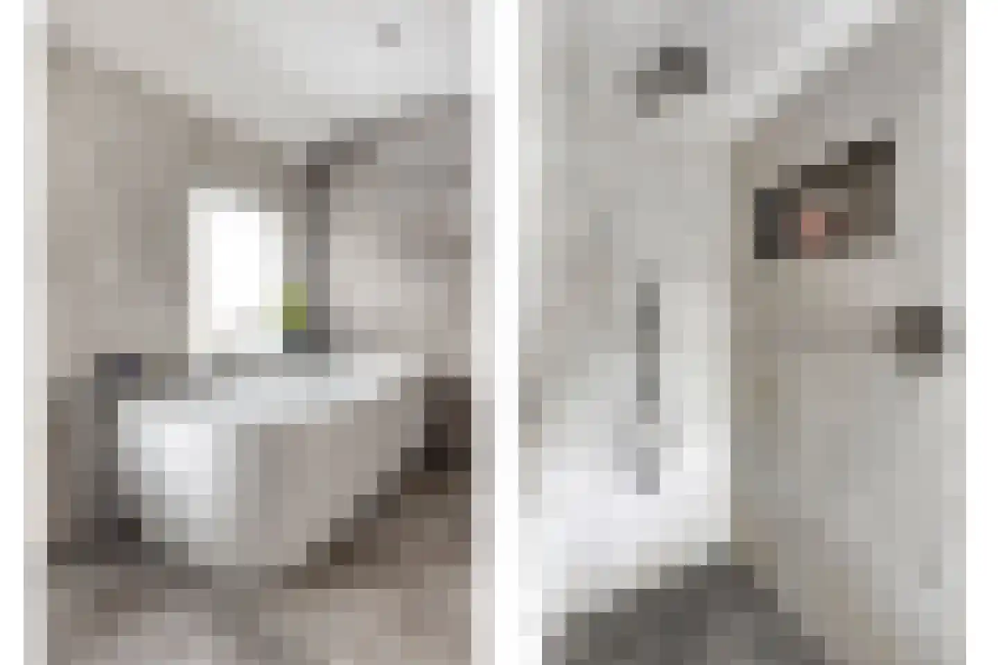 Vlasstraat 5 Oss thumbnail 16