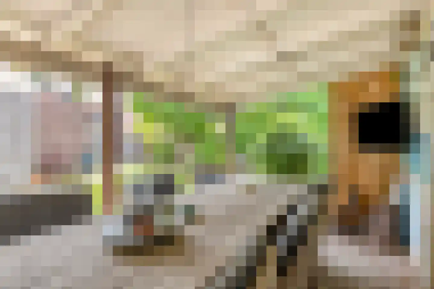 Vlasstraat 5 Oss thumbnail 26