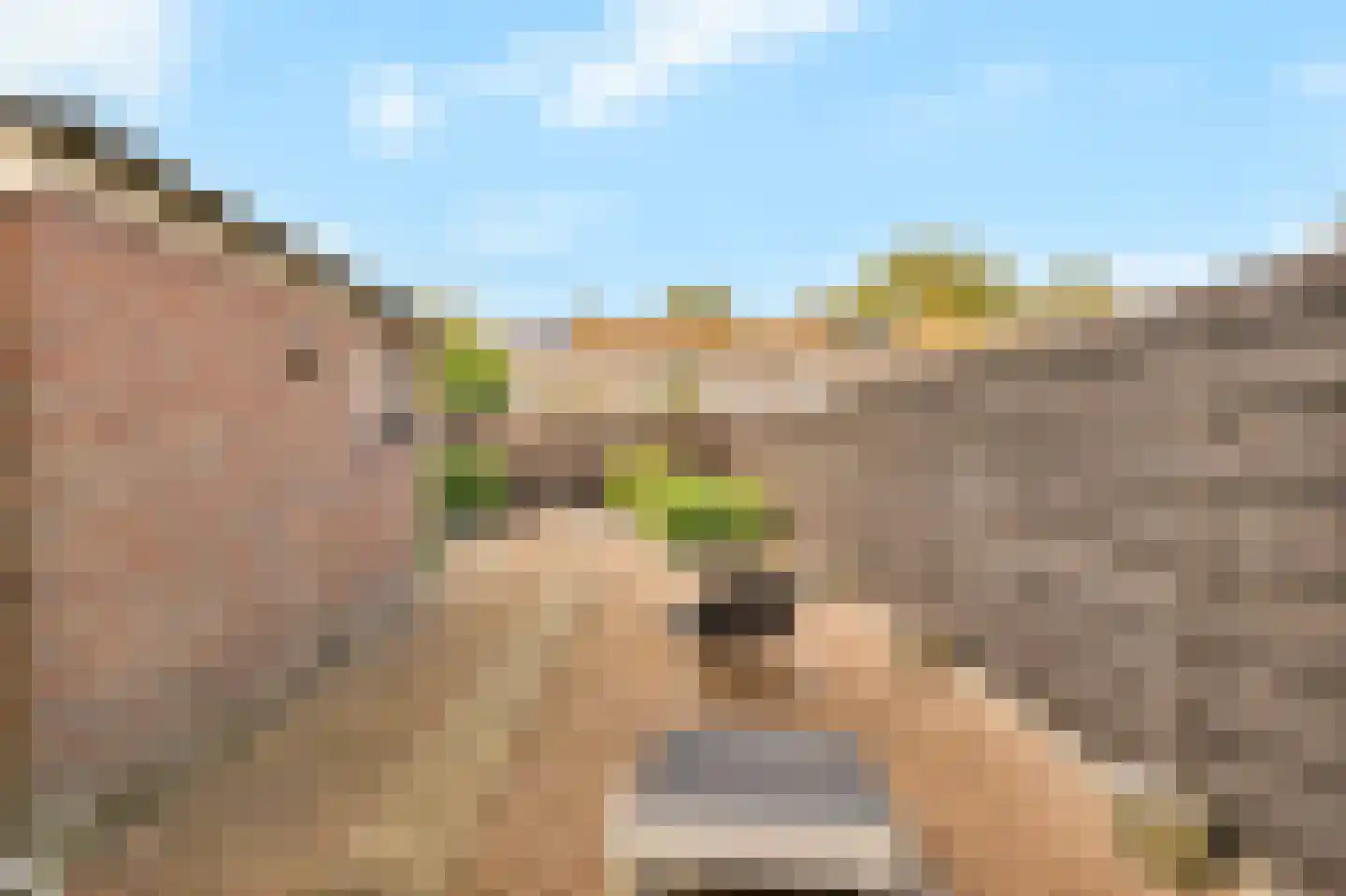 Vlasstraat 7 Kreileroord thumbnail 28