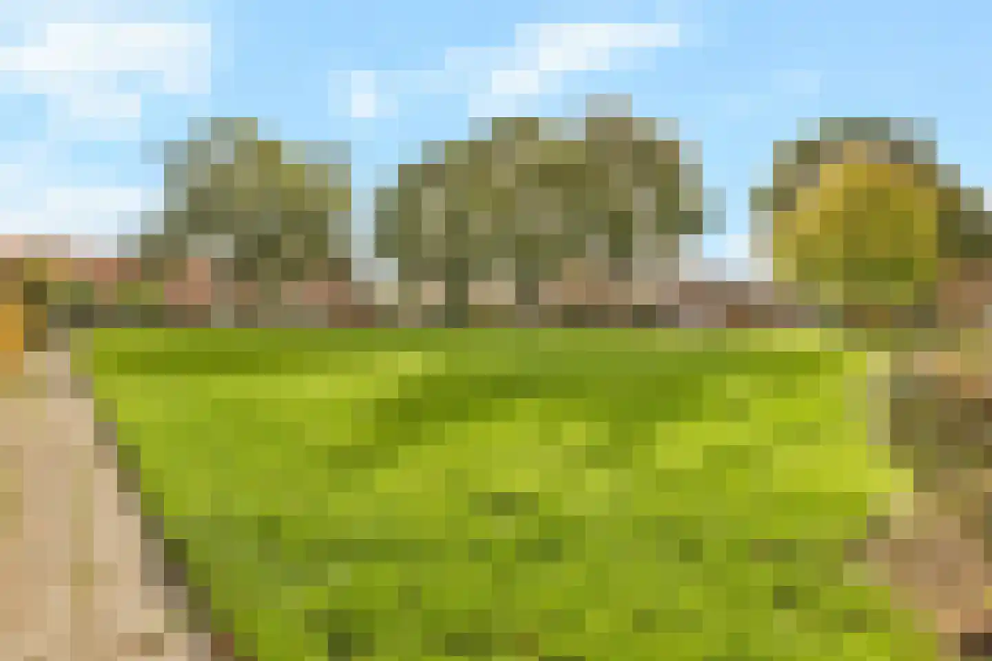 Vlasstraat 7 Kreileroord thumbnail 32