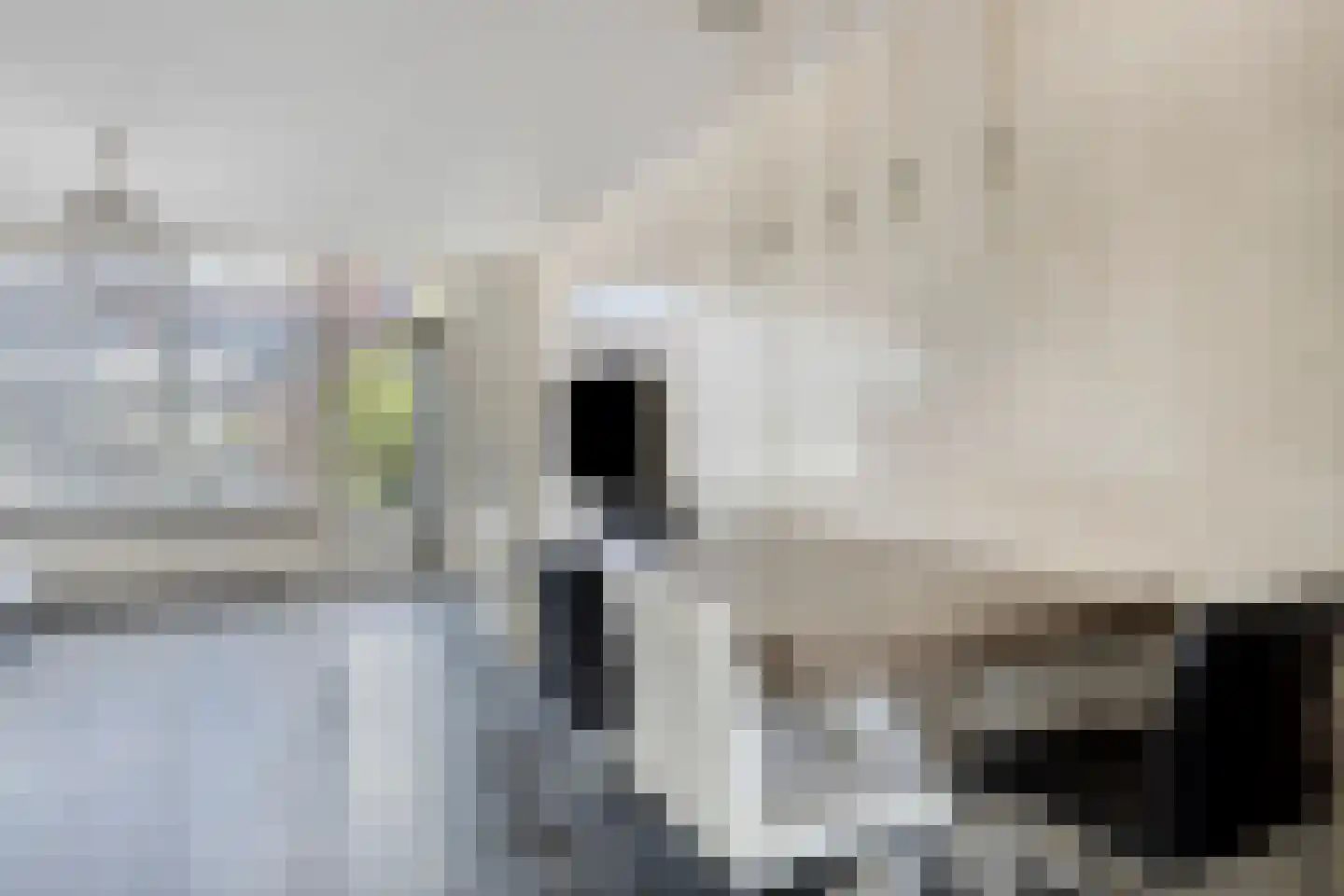 Vlasstraat 8 Purmerend thumbnail 16