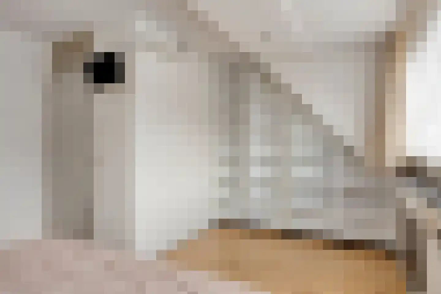 Vlasstraat 8 Purmerend thumbnail 21