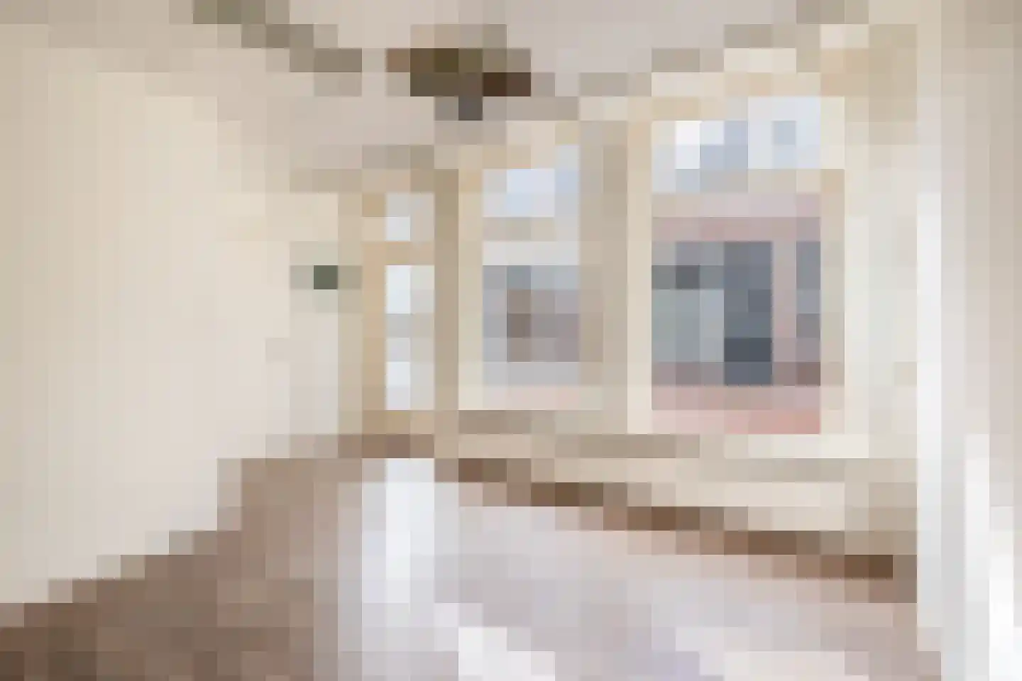 Vlasstraat 9 Dokkum thumbnail 7