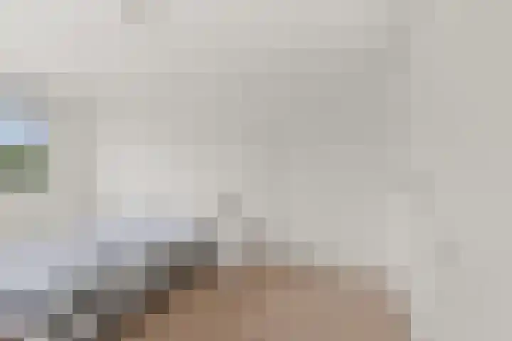 Vlastiende 4 Lekkerkerk thumbnail 16
