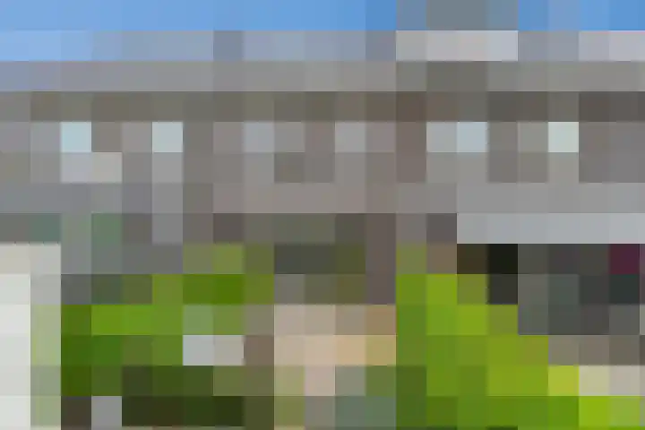 Vlastiende 4 Lekkerkerk foto 2