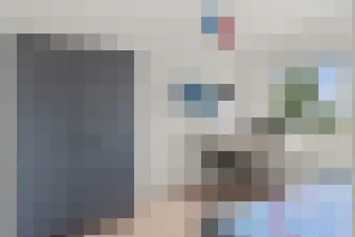 Vlastiende 4 Lekkerkerk thumbnail 21