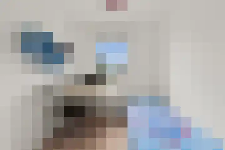 Vlastiende 4 Lekkerkerk thumbnail 22