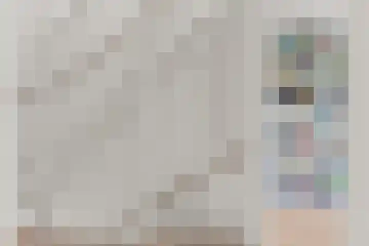 Vlastiende 4 Lekkerkerk thumbnail 23