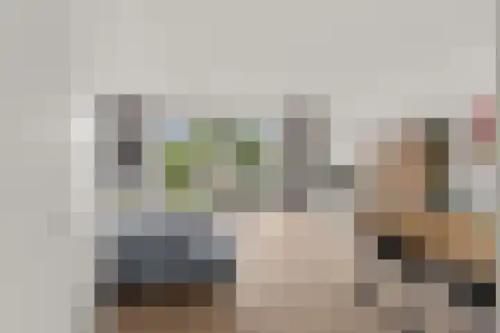 Vlastiende 4 Lekkerkerk foto 3