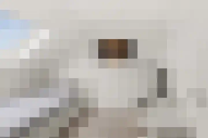 Vlastiende 4 Lekkerkerk thumbnail 30