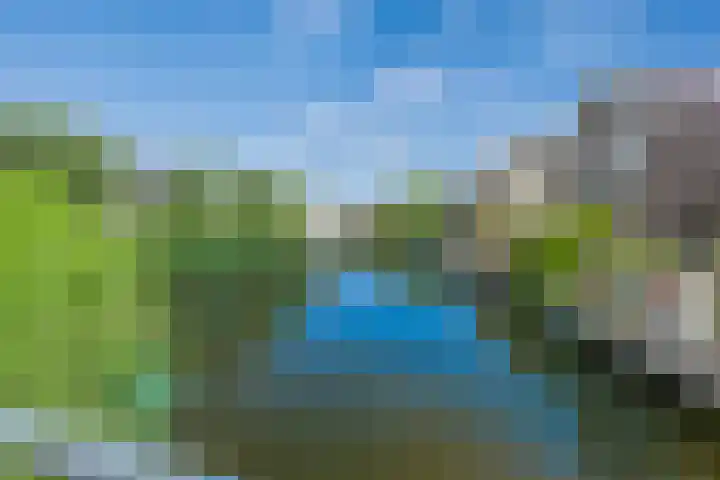 Vlastiende 4 Lekkerkerk thumbnail 33