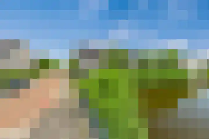 Vlastiende 4 Lekkerkerk thumbnail 34