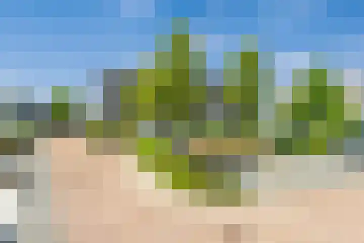 Vlastiende 4 Lekkerkerk thumbnail 37