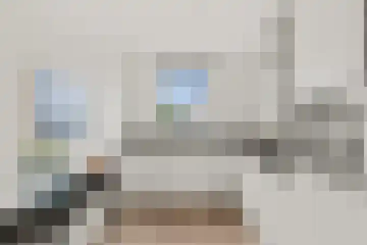 Vlastiende 4 Lekkerkerk thumbnail 4