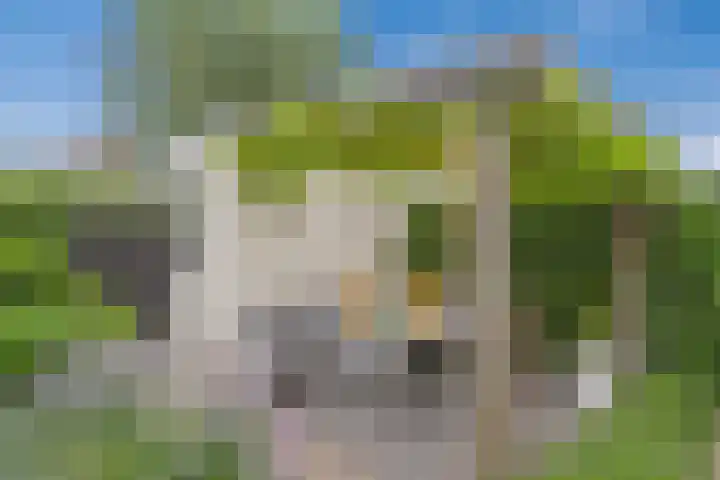 Vlastiende 4 Lekkerkerk thumbnail 42