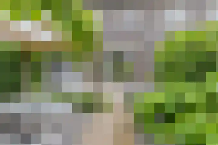 Vlastiende 4 Lekkerkerk thumbnail 43